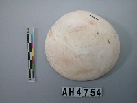 藏品(大型螺蓋製貝器)的圖片